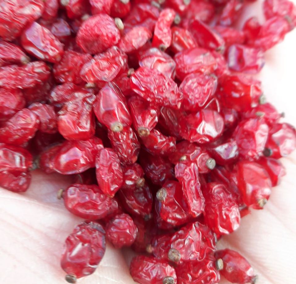 عرضه زرشک اعلای ایرانی مناسب صادرات